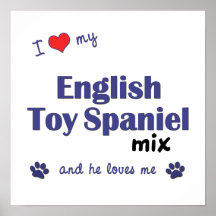 I Love My English Toy Spaniel Mix (He) Poster