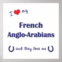 I Love My French Anglo-Arabians (Multiple Horses) Posters