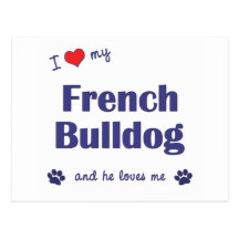I Love My French Bulldog (Male Dog) Postcards