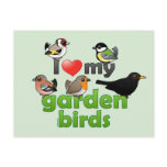I Love My Garden Birds postcards
