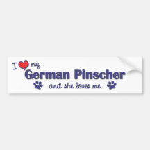 I Love My German Pinscher (Female Dog) Bumper Stickers
