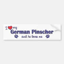 I Love My German Pinscher (Male Dog) Bumper Stickers