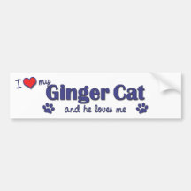 I Love My Ginger Cat (Male Cat) Bumper Sticker