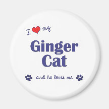 I Love My Ginger Cat (Male Cat) Fridge Magnet