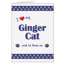 I Love My Ginger Cat (Male Cat) Greeting Cards