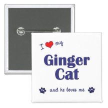 I Love My Ginger Cat (Male Cat) Pins