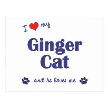 I Love My Ginger Cat (Male Cat) Postcards