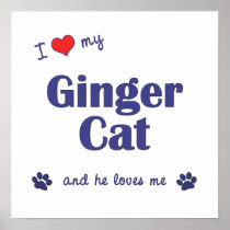 I Love My Ginger Cat (Male Cat) Posters