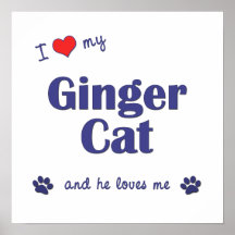 I Love My Ginger Cat (Male Cat) Posters