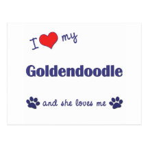 I Love My Goldendoodle (Female Dog) Postcards