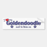 I Love My Goldendoodle (Male Dog) Bumper Sticker