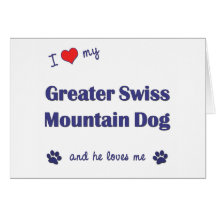 I Love My Greater Swiss Mountain Dog (Male Dog) Cards