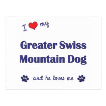 I Love My Greater Swiss Mountain Dog (Male Dog) Post Card