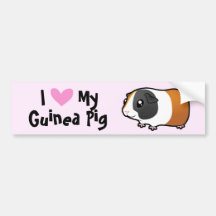 I Love My Guinea Pig / Cavy (smooth hair) Bumper Stickers