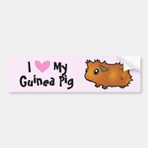 I Love My Guinea Pig (scruffy) Bumper Sticker