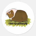 I Love My Guinea Pig Stickers