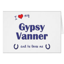 I Love My Gypsy Vanner (Male Horse) Cards