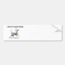I Love My Hairless Chinese Crested Dog Bumper Stickers