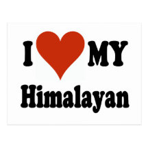 I Love My Himalayan Cat Gifts and Apparel Postcard
