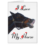 I Love My Horse! Funny Greeting Cards