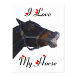I Love My Horse! Funny Post Card
