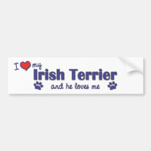 I Love My Irish Terrier (Male Dog) Bumper Sticker