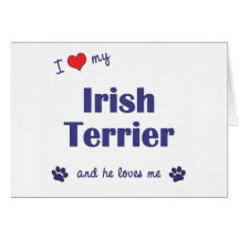 I Love My Irish Terrier (Male Dog) Card