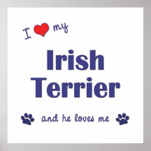 I Love My Irish Terrier (Male Dog) Posters