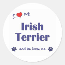 I Love My Irish Terrier (Male Dog) Sticker