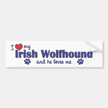 I Love My Irish Wolfhound (Male Dog) Bumper Sticker