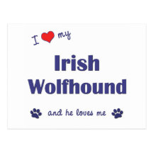 I Love My Irish Wolfhound (Male Dog) Postcards