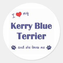 I Love My Kerry Blue Terrier (Female Dog) Round Sticker