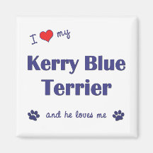 I Love My Kerry Blue Terrier (Male Dog) Refrigerator Magnets