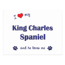 I Love My King Charles Spaniel (Male Dog) Post Cards