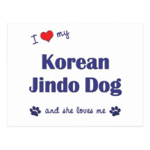 I Love My Korean Jindo Dog (Female Dog) Postcards