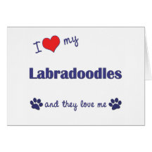 I Love My Labradoodles (Multiple Dogs) Card