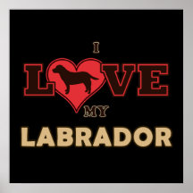 I Love my Labrador Poster