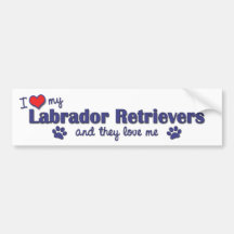 I Love My Labrador Retrievers (Multiple Dogs) Bumper Sticker