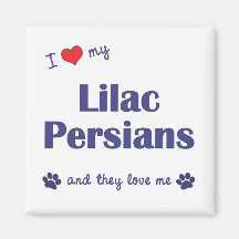 I Love My Lilac Persians (Multiple Cats) Magnet
