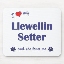 I Love My Llewellin Setter (Female Dog) Mouse Pad
