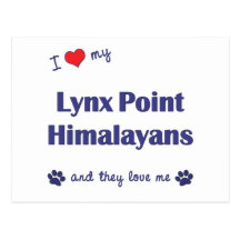 I Love My Lynx Point Himalayans (Multiple Cats) Postcard