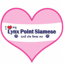 I Love My Lynx Point Siamese (Female Cat) Photo Sculptures