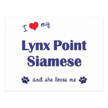 I Love My Lynx Point Siamese (Female Cat) Postcards