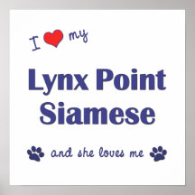 I Love My Lynx Point Siamese (Female Cat) Poster