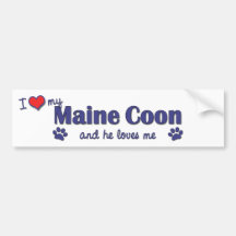 I Love My Maine Coon (Male Cat) Bumper Stickers