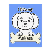 I Love My Maltese Postcard