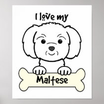 I Love My Maltese Posters