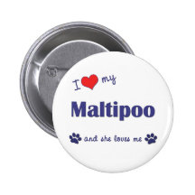 I Love My Maltipoo (Female Dog) Buttons