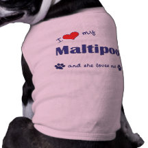 I Love My Maltipoo (Female Dog) Doggie T Shirt