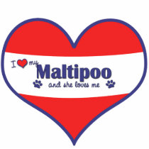 I Love My Maltipoo (Female Dog) Acrylic Cut Out